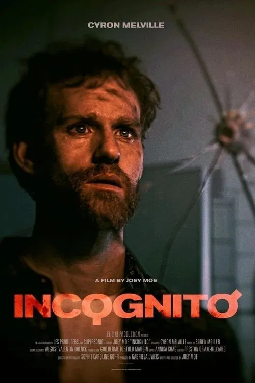 Poster do filme Incognito