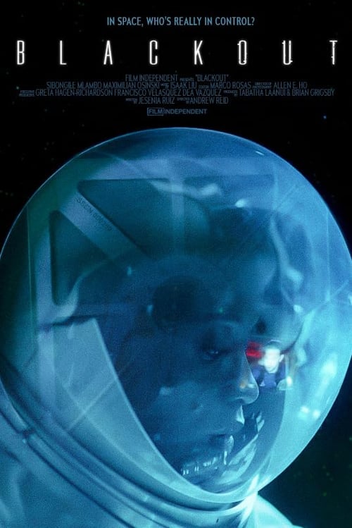 Blackout movie poster