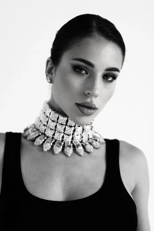 Adel Veigel profile picture