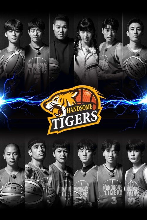 Handsome Tigers tv show poster