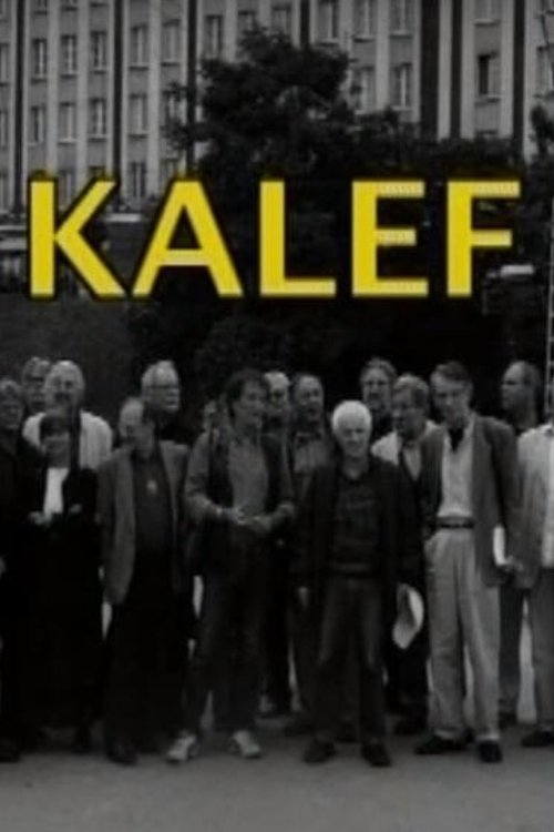 Poster do filme Kalef - A Moszkva téri galeri