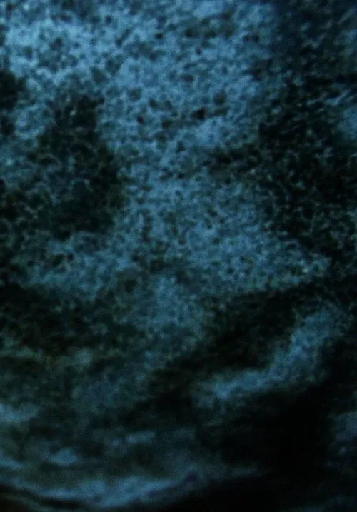 Salt Lake movie poster