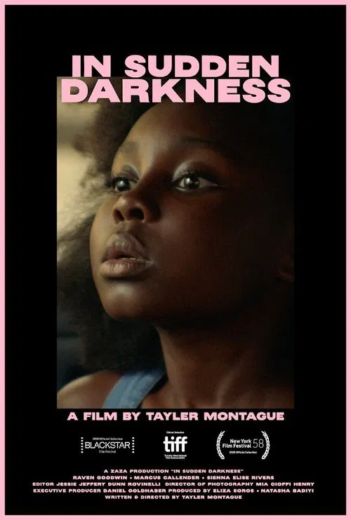 In Sudden Darkness movie poster