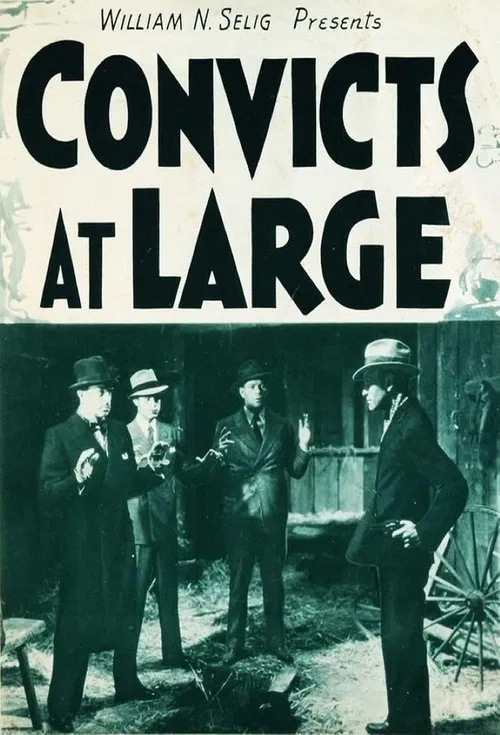 Convicts at Large movie poster