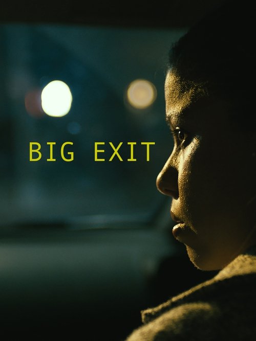 Big Exit movie poster