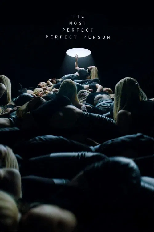 The Most Perfect Perfect Person movie poster