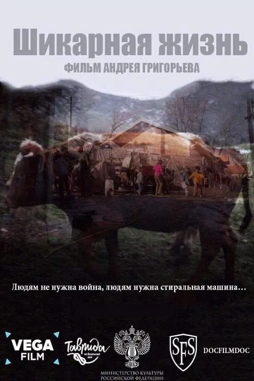 Incredible life movie poster