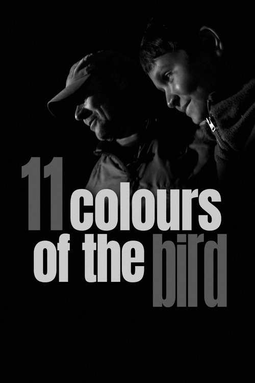 11 Colours of the Bird movie poster