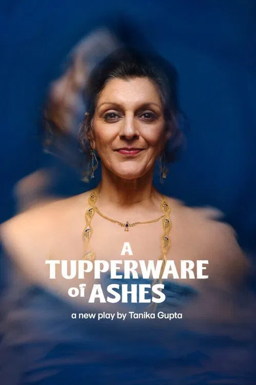Poster do filme A Tupperware of Ashes