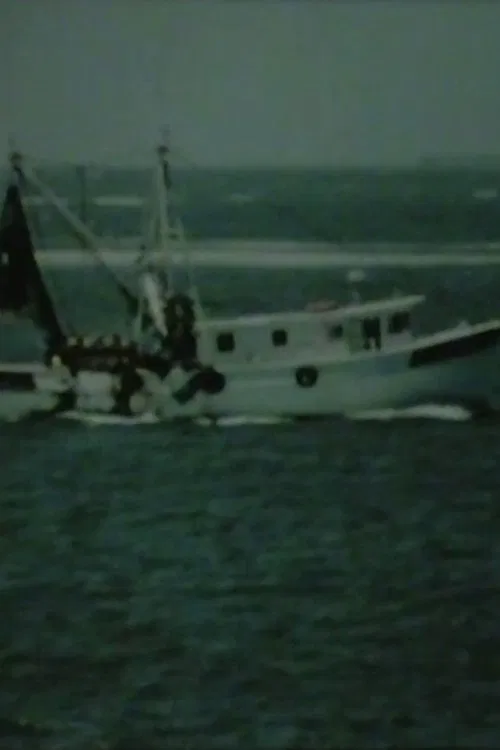 Shrimp Boat Log movie poster