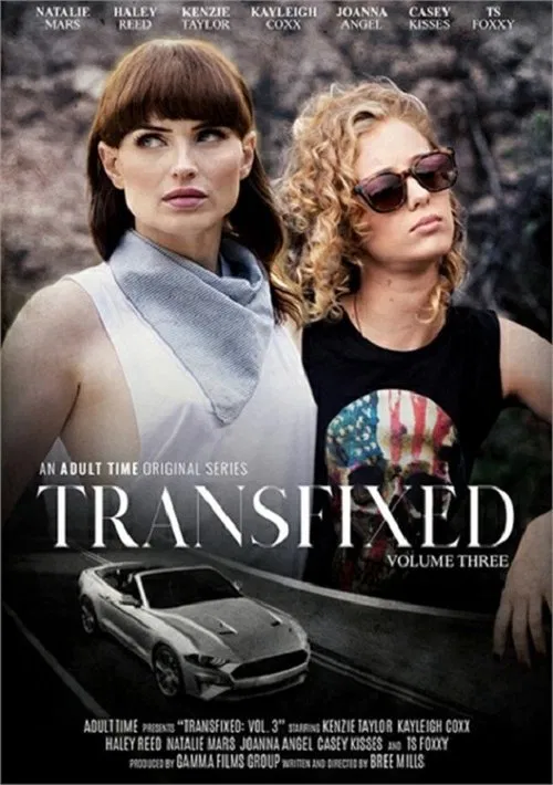 Poster do filme Transfixed 3