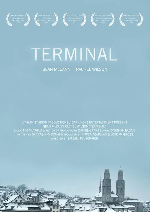 Poster do filme Terminal