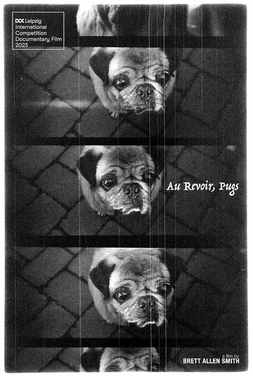 Poster do filme Au Revoir, Pugs