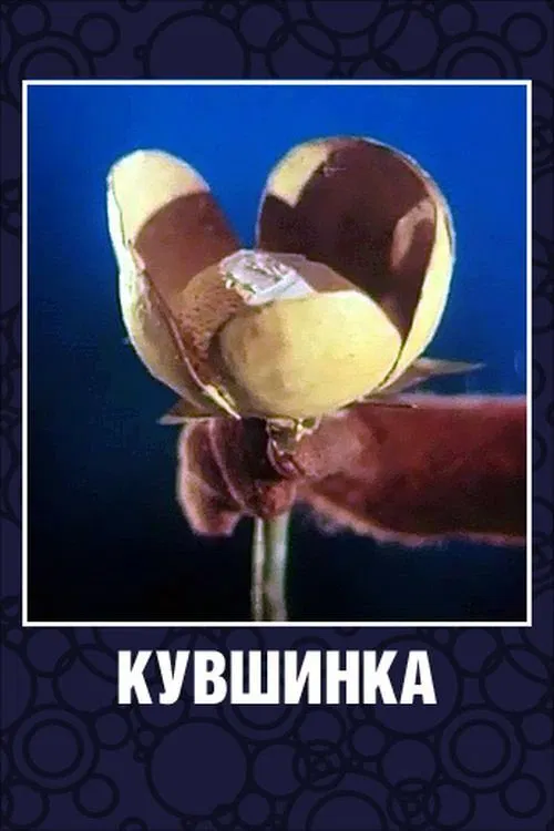 Water Lily movie poster