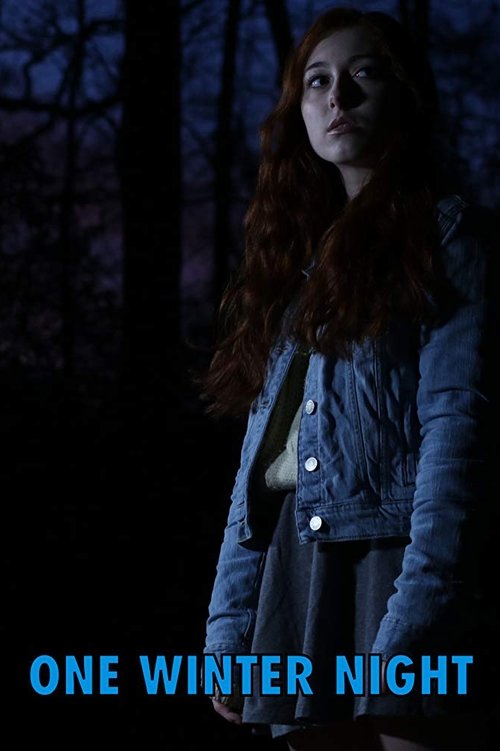 One Winter Night movie poster