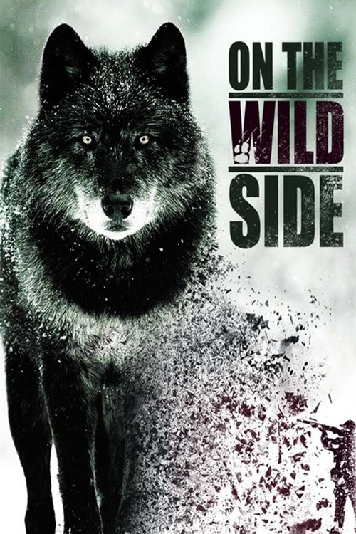On The Wild Side movie poster