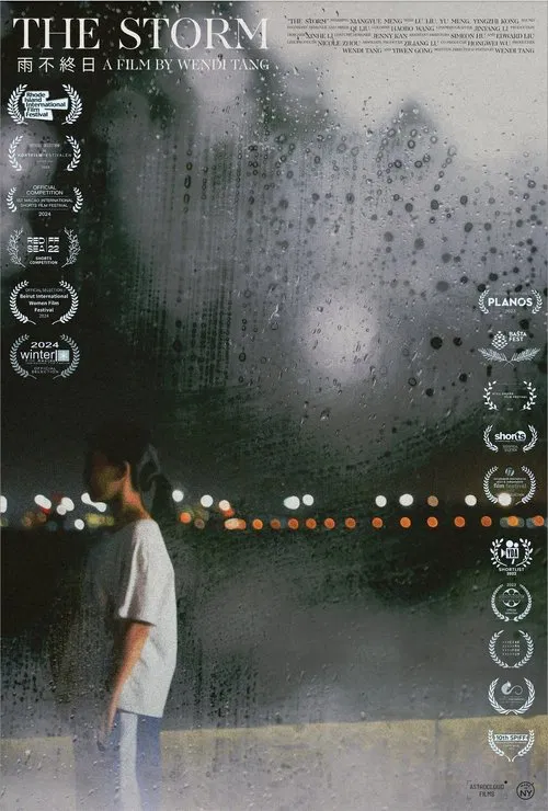 The Storm movie poster
