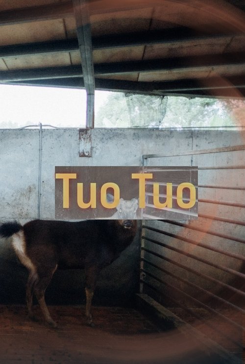 Tuo Tuo movie poster