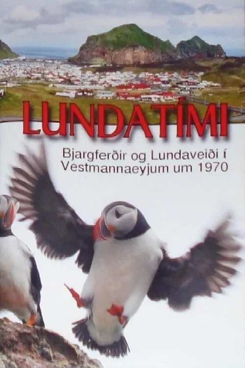 Puffin Season movie poster