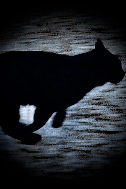 Poster do filme A Black Cat Escapes