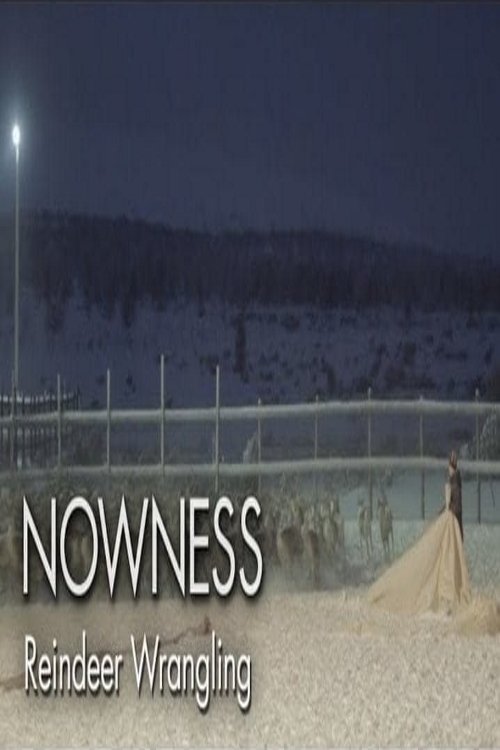 Untold Odyssey: Reindeer Wrangling movie poster