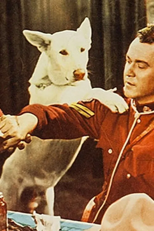 Chinook profile picture