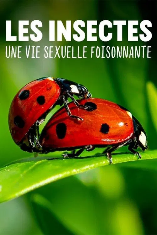 Poster do filme Les insectes, une vie sexuelle foisonnante