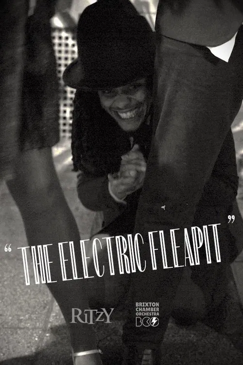 The Electric Fleapit movie poster