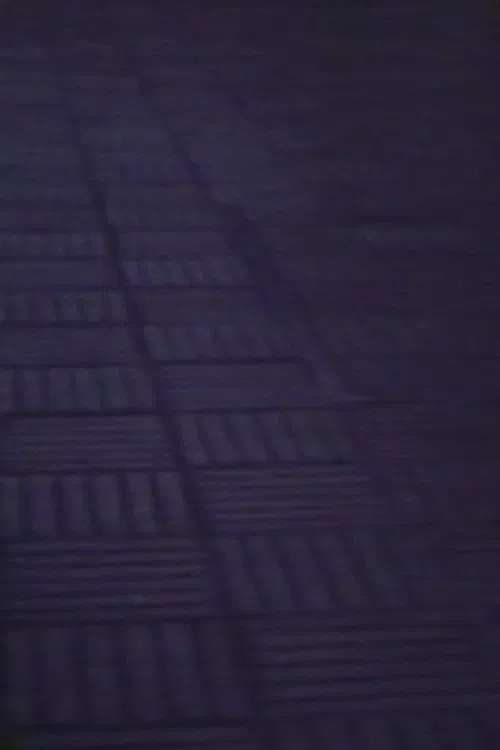 Poster do filme Station Floor