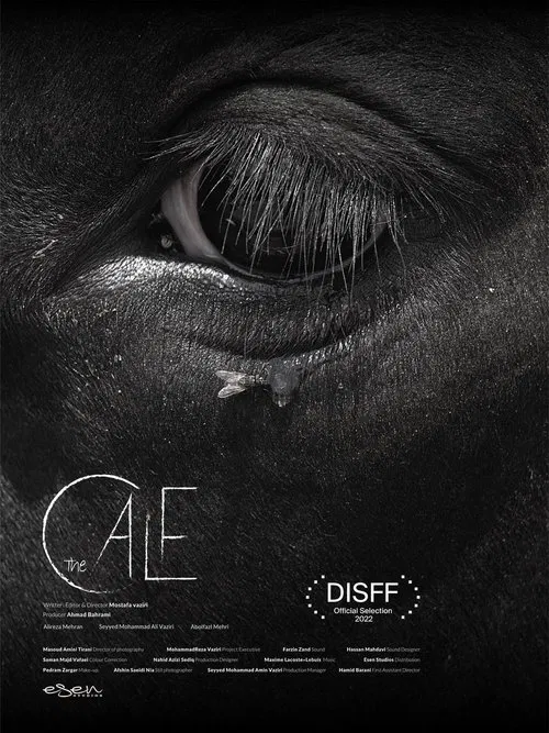 The Calf movie poster