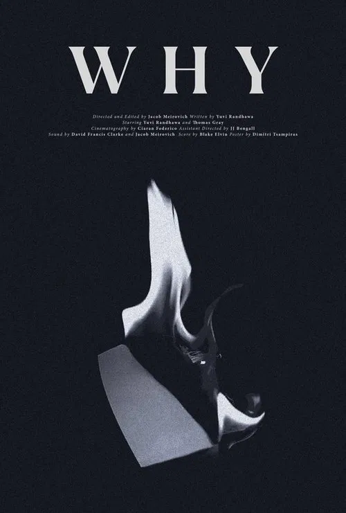 WHY movie poster