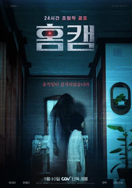 Homecam movie poster