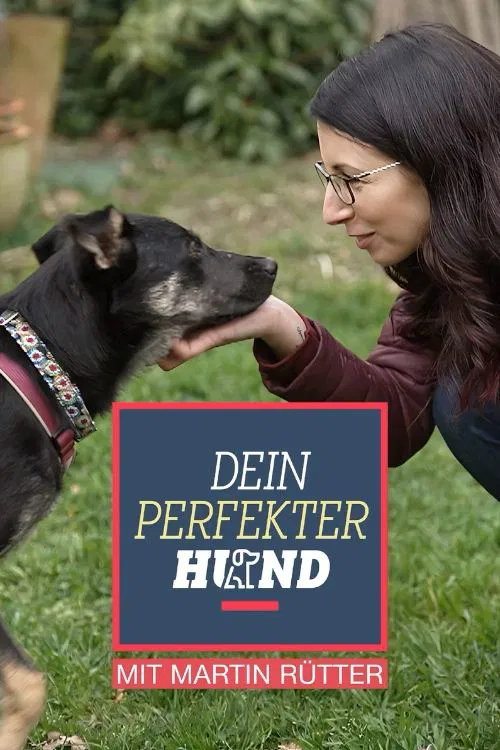Dein perfekter Hund tv show poster