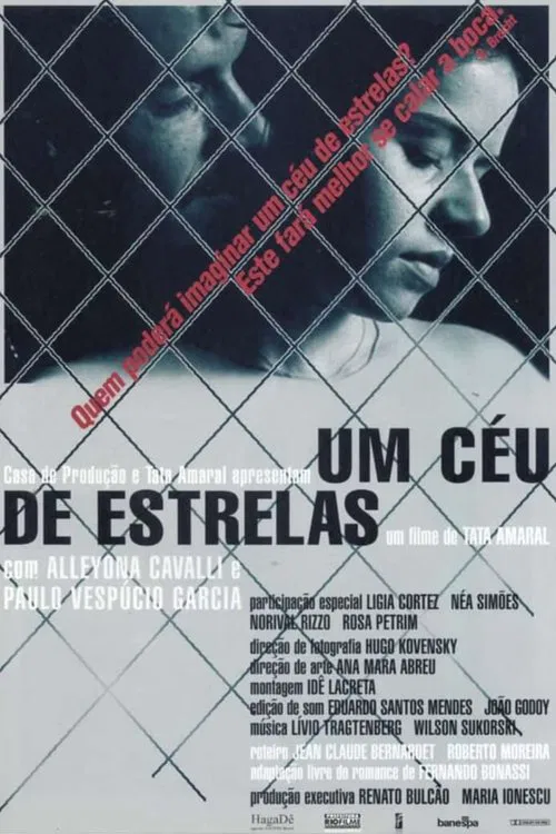 Poster do filme A Starry Sky