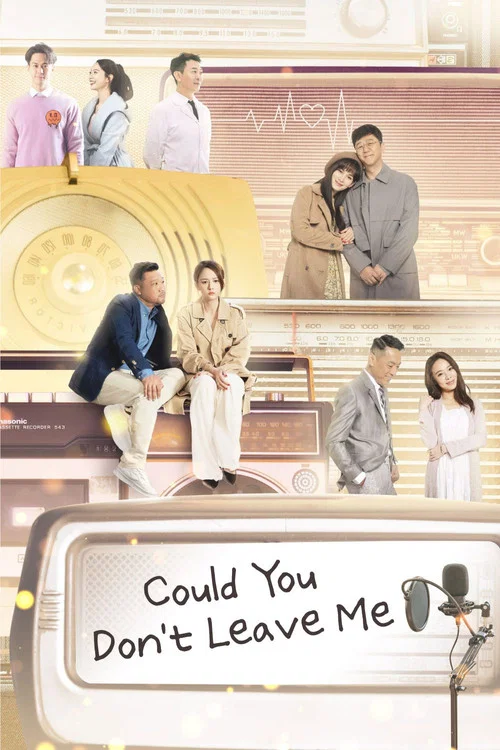 Could You Don't Leave Me movie poster