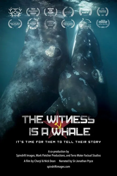 The Witness is a Whale movie poster