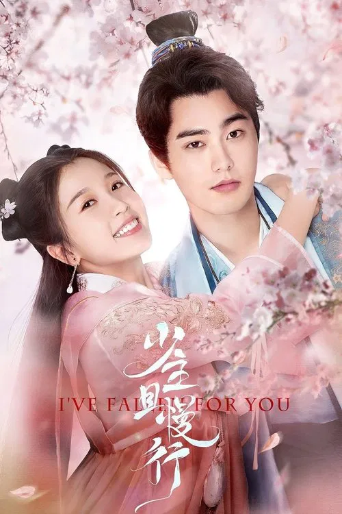 I've Fallen For You tv show poster