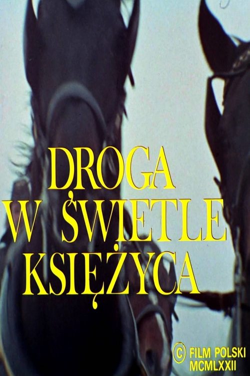 Droga w świetle księżyca movie poster