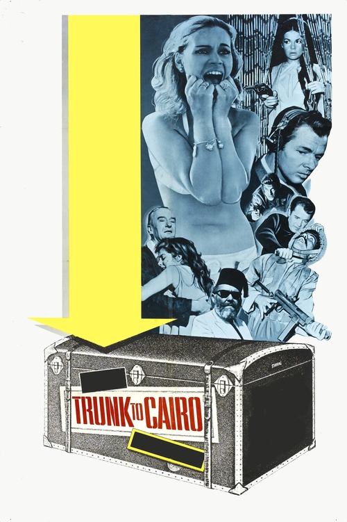 Trunk to Cairo movie poster