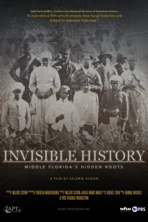 Invisible History: Middle Florida's Hidden Roots movie poster