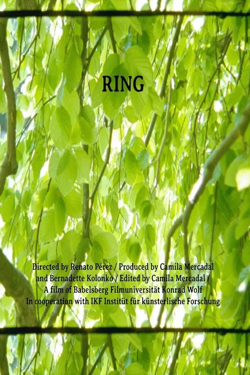 RING movie poster