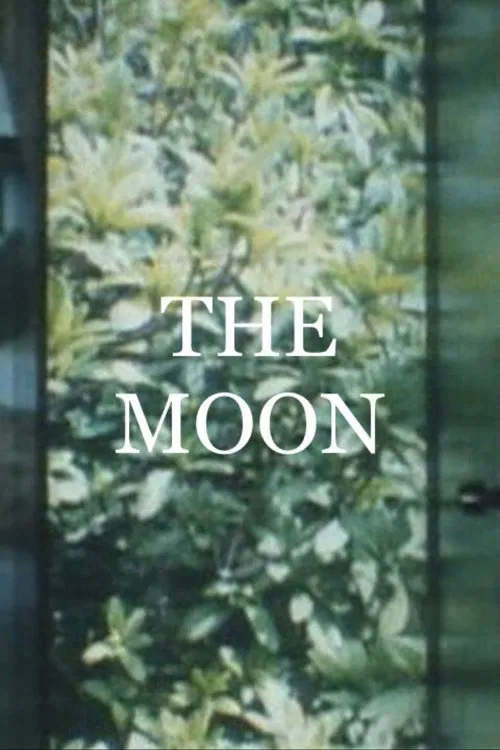 The Moon movie poster