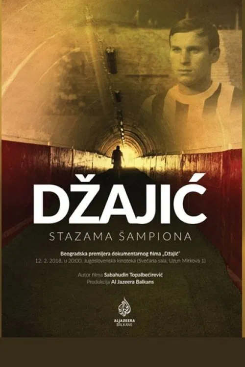 Dzajic movie poster