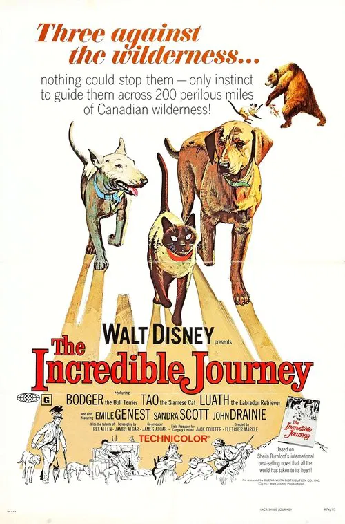 The Incredible Journey movie poster