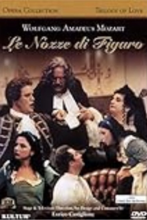 Poster do filme The Weddings of Figaro